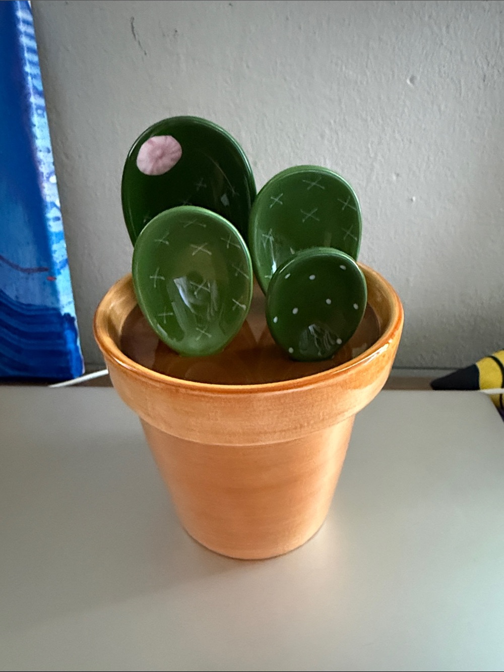 Super Cute Ceramic Cactus Succulent Measuring Cup and Spoon Set